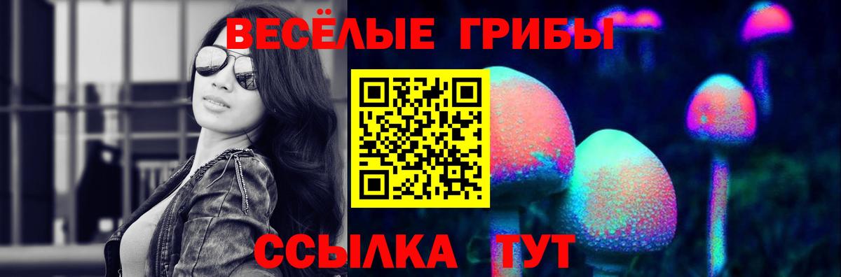 Белая Калитва  Псилоцибиновые грибы ЛСД  Вход с VPN  как найти   Псилоцибиновые грибы MAGIC MUSHROOMS 